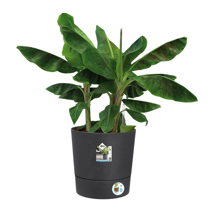 greensense aqua care rond 43cm houtskoolgrijs